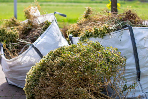 Best Yard Waste Removal  in East Farmingdale, NY